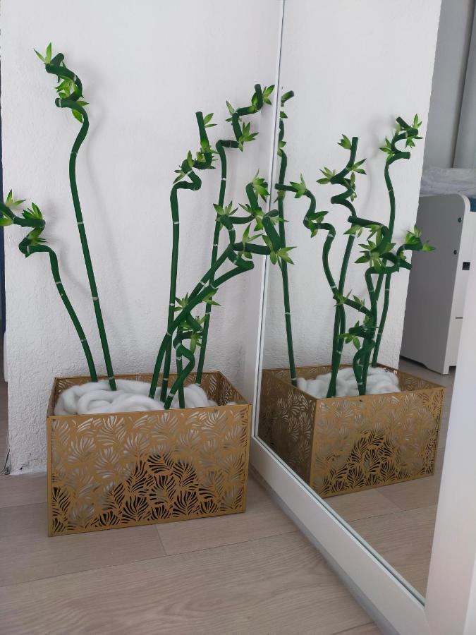 Apartment Les Estivales